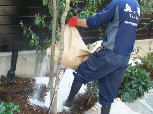 土 壌 改 良 で 木 を 元 気 に ・ ・ ・