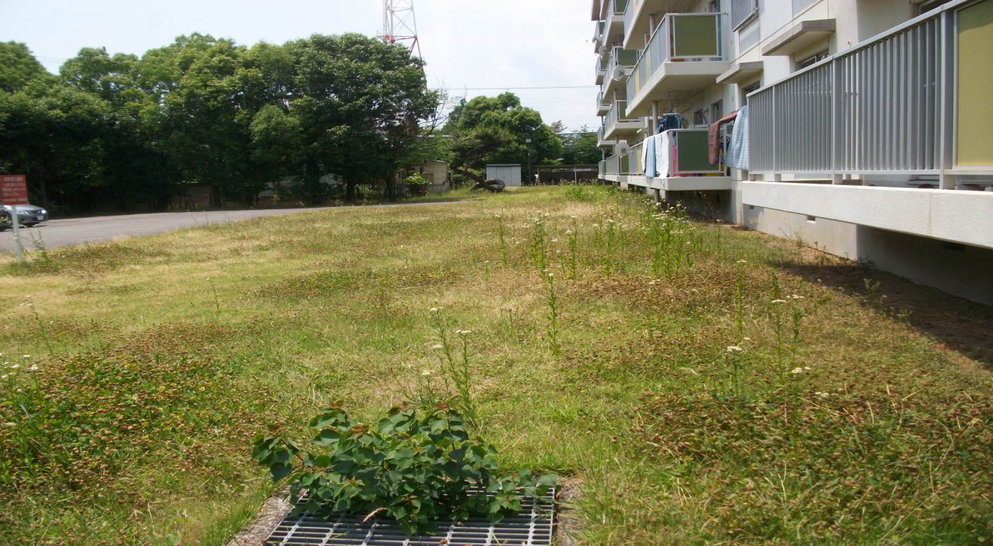 芝刈の植栽管理事例