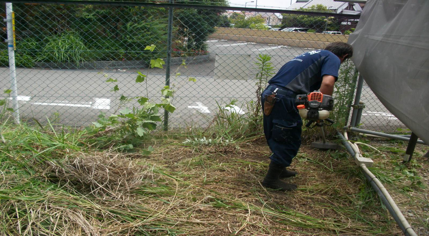 箕面市の植栽管理事例