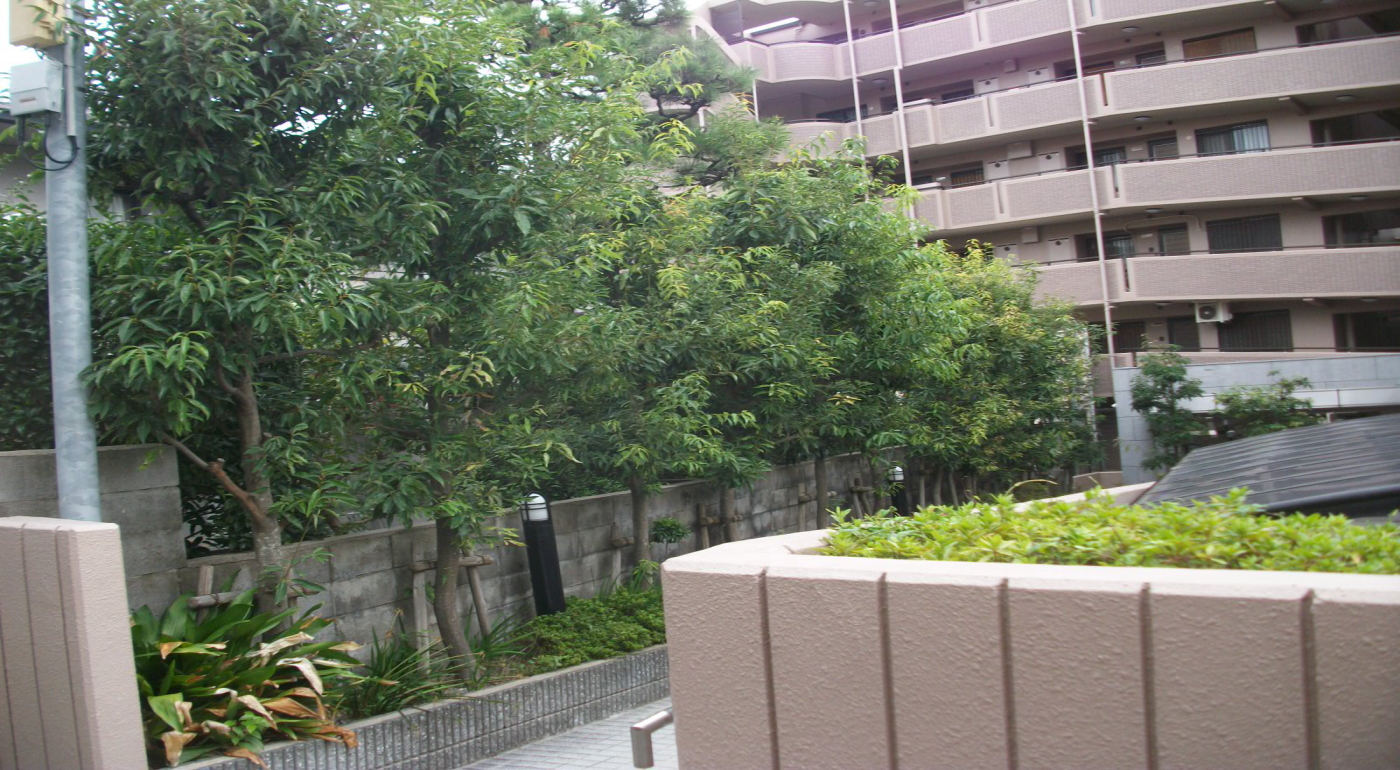 宝塚市の植栽管理施工