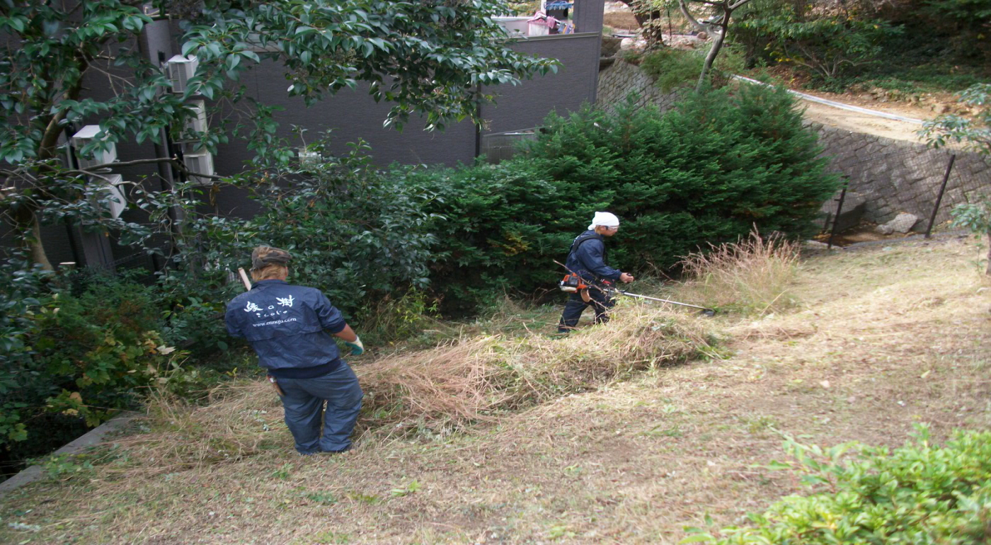 除草の植栽管理事例