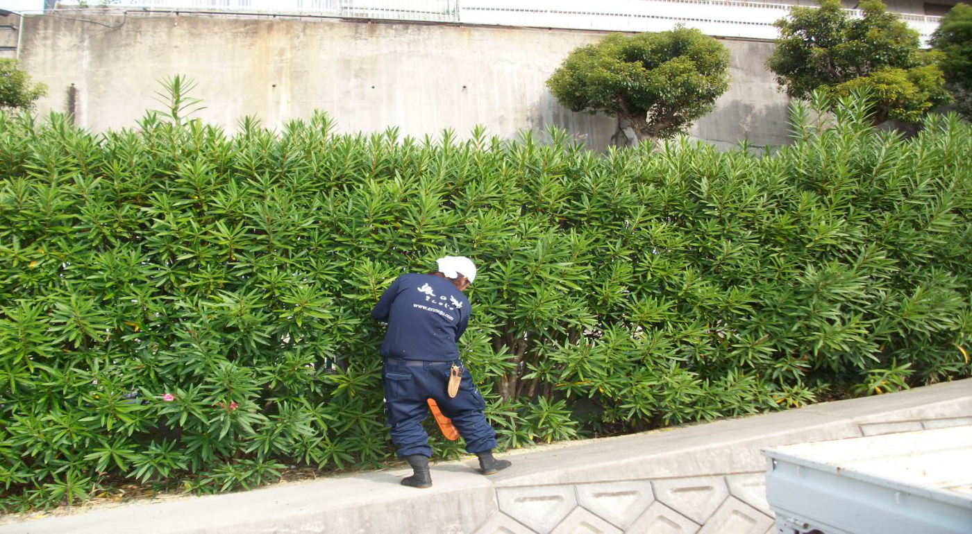 宝塚動物霊園植栽管理