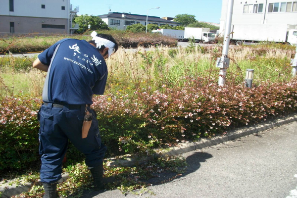 ヤマト運輸植栽管理