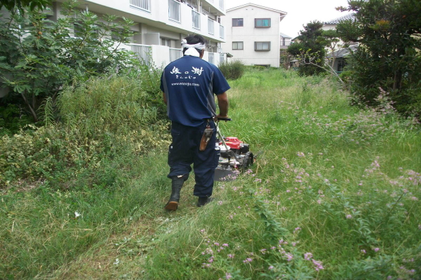 国家公務員宿舎 芝刈と除草