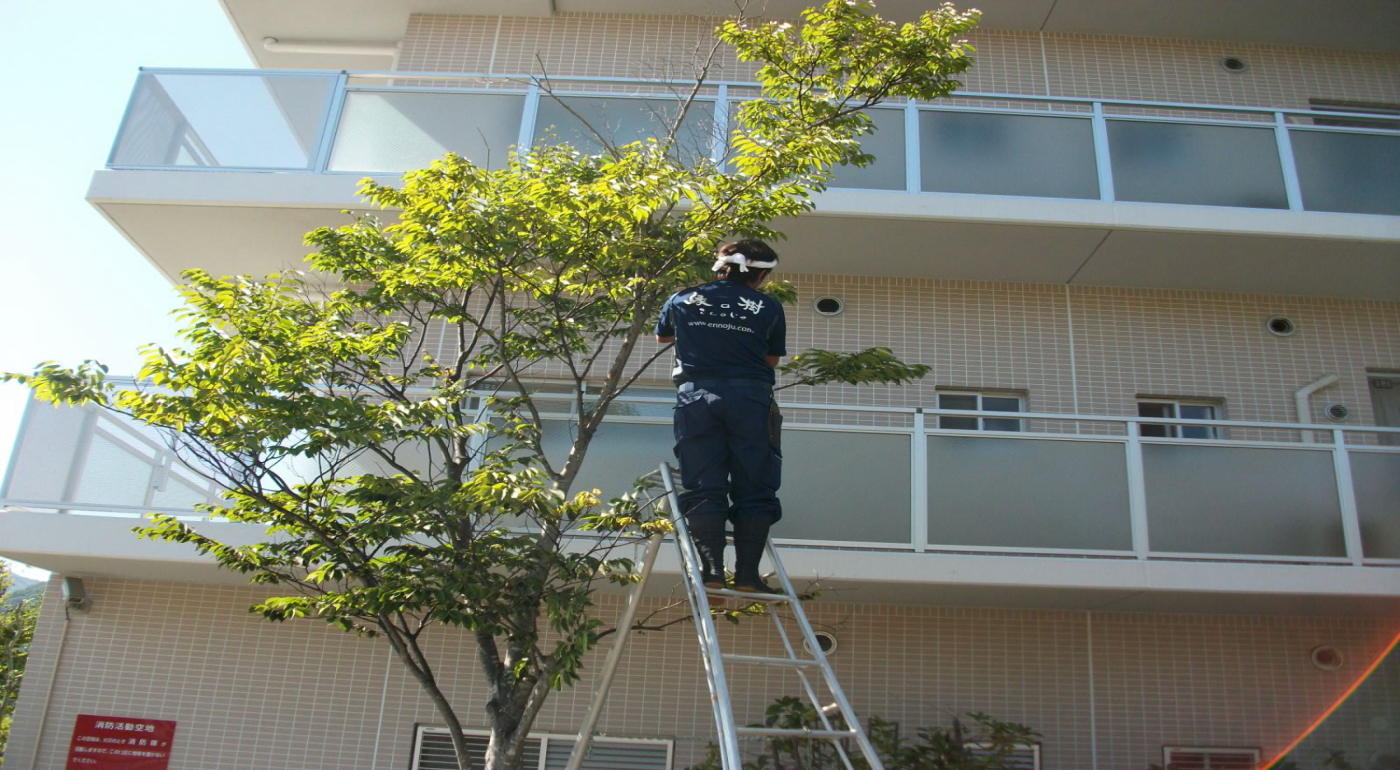 植栽管理業務 費用削減 お任せ下さい!│株式会社縁の樹