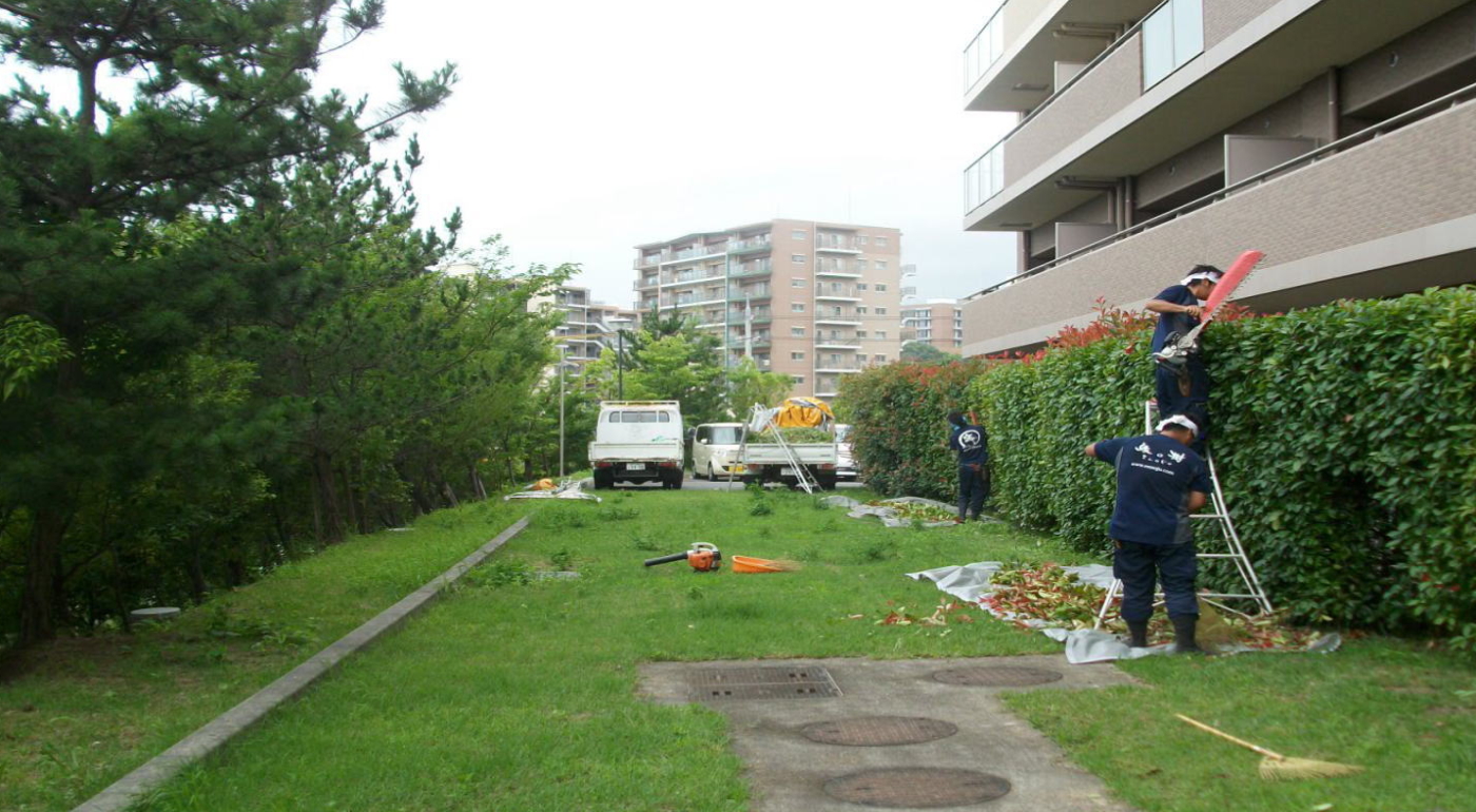 植栽管理 ３つの視点で中長期植栽計画を提案!│株式会社縁の樹