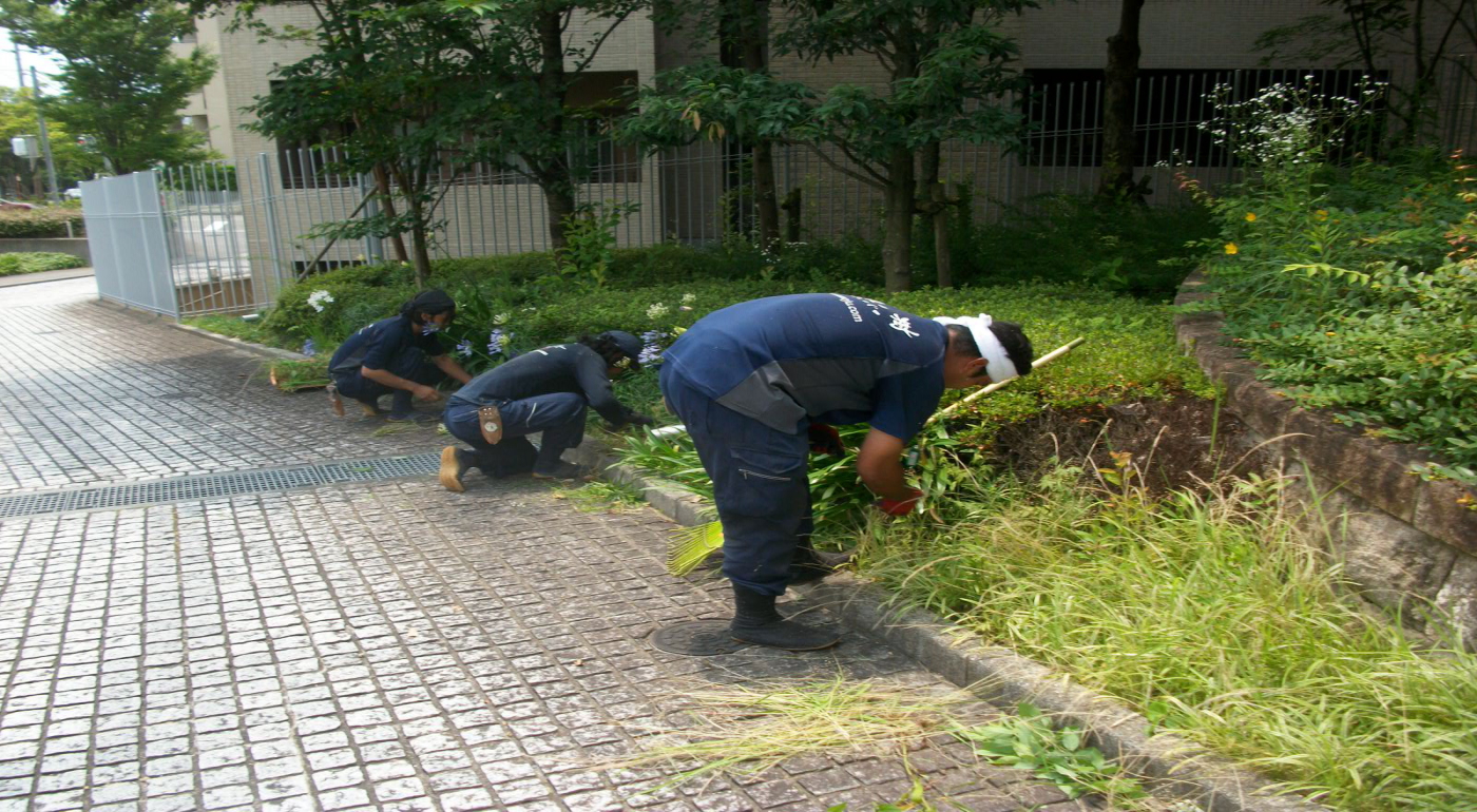 植栽管理 癒される景観計画エントランス・通路など美しく!│株式会社縁の樹