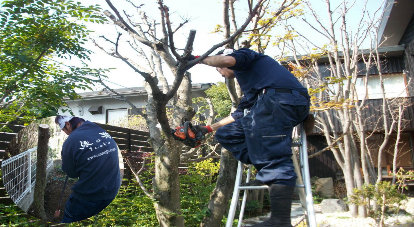 通行支障・近隣に迷惑を掛けている樹木を伐採・伐根!│株式会社縁の樹