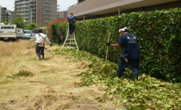 植栽管理イメージ